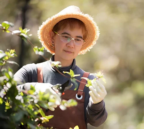 woman-on-nature-2023-11-27-05-36-38-utc.webp